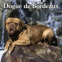 Dogue de Bordeaux 2005 Wall Calendar