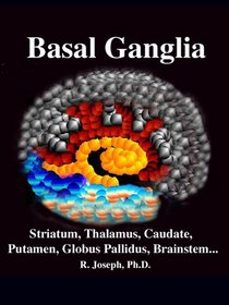 Basal Ganglia, Brainstem, Cerebellum, Striatum, Thalamus: Caudate, Putamen, Globus Pallidus, Limbic Striatum, Cranial Nerves, Parkinson's Disease, ... Disease, Psychosis & Disorders of Movement
