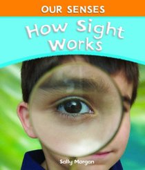 How Sight Works (Our Senses)