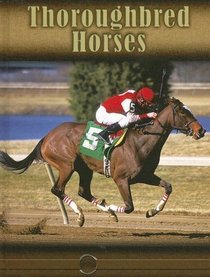 Thoroughbred Horses (Eye to Eye With Horses)