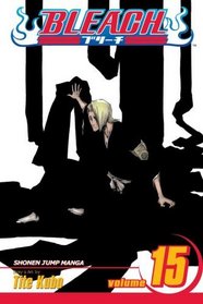 Bleach, Vol 15