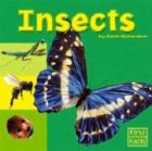 Insects (Exploring the Animal Kingdom)