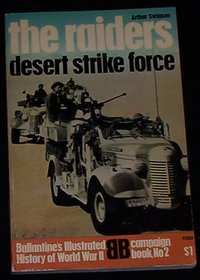Raiders Desert Strike Force 2