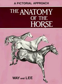 Anatomy of the Horse