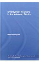 Employment Relations in the Voluntary Sector: Struggling to Care (Routledge Studies in the Management of Voluntary and Non-Profit Organizations)