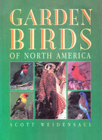 Garden Birds of North America