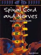 Nerves and Spinal Cord (Body Focus; Injury, Illness and Health)