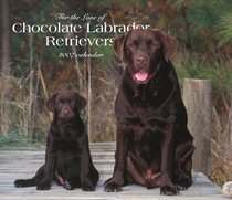 For the Love of Chocolate Labrador Retrievers 2007 Deluxe Calendar