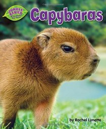 Capybaras (Jungle Babies of the Amazon Rain Forest)