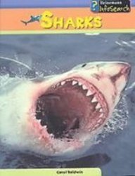 Sharks (Sea Creatures)