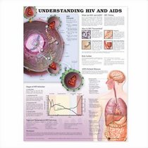 Understanding HIV and AIDS Anatomical Chart