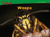 Wasps (Bugs)