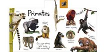Tabbed Board Books: My First Zoo: Let's Meet the Animals! (Tab Board Books)