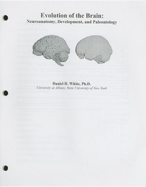 Evolution of the Brain: Neuroanatomy, Development, and Paleontology