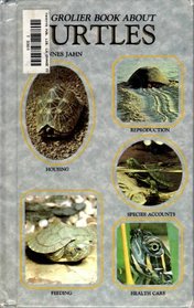 Step by Step Book About Turtles