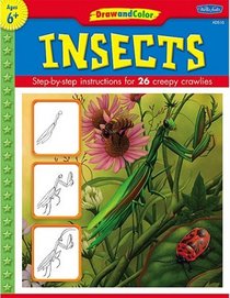 Draw and Color: Insects