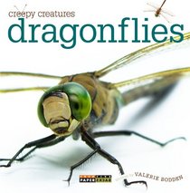 Creepy Creatures: Dragonflies