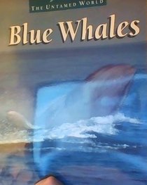 Blue Whales (Amazing Animals Series)
