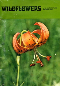 Wildflowers of the Northern Plains and Black Hills (Badlands Natural History Association. Bulletin)