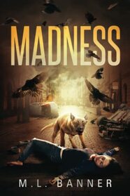 Madness (Madness Chronicles)