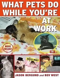 What Pets Do While You're At Work