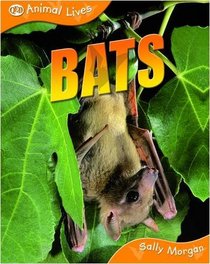 Bats (Animal Lives)