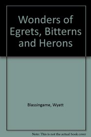 Wonders of Egrets, Bitterns and Herons