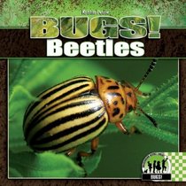 Beetles (Bugs!)