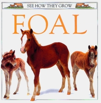 See How They Grow: Foal