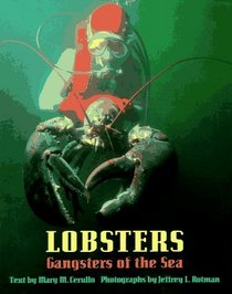 Lobsters: Gangsters of the Sea