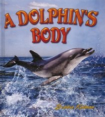 A Dolphin's Body (Dolphin Worlds)