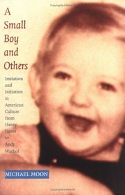 A Small Boy and Others: Imitation and Initiation in American Culture from Henry James to Andy Warhol (Series Q)