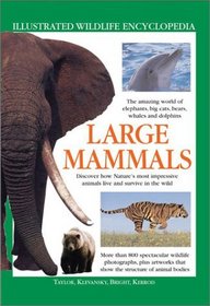 Large Mammals (Illustrated Wildlife Encyclopedia)