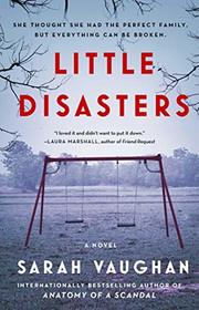 Little Disasters: A Novel