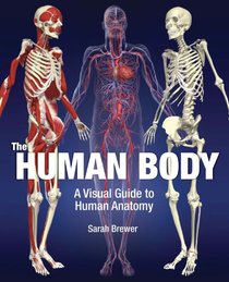 The Human Body: A Visual Guide to Human Anatomy