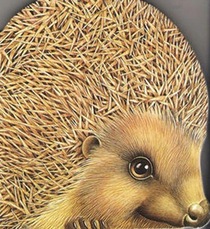 Hedgehog - Nature Shapes (Nature Shape Book)