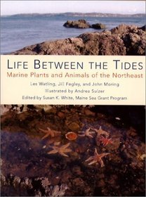 Life Between the Tides: Marine Plants and Animals of the Northeast