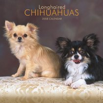 Chihuahuas, Longhaired 2008 Square Wall Calendar (German, French, Spanish and English Edition)