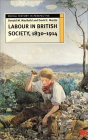 Labour in British Society, 1830-1914 (Social History in Perspective)