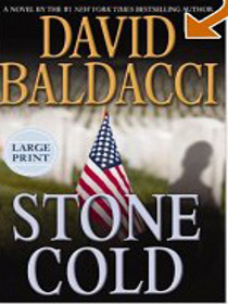 Stone Cold  (Large Print Edition/Hardcover)