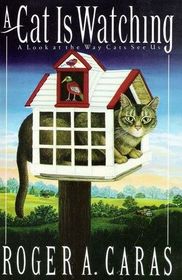A Cat Is Watching