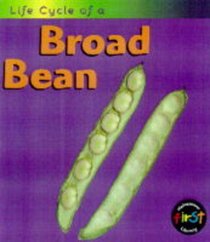 Life Cycle of a Broad Bean (Life Cycle of A...)