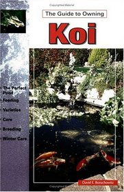 The Guide to Owning Koi (Guide to Owning)