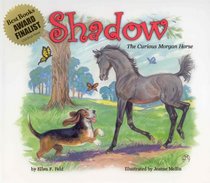 Shadow: The Curious Morgan Horse (Morgan Horse Series)