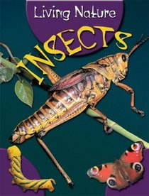 Insects