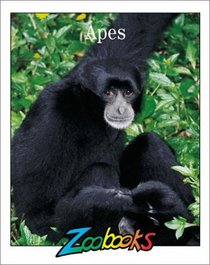 Apes (Zoobooks)