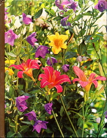 Time-Life Encyclopedia of Gardening: Perennials
