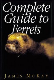 Complete Guide to Ferrets