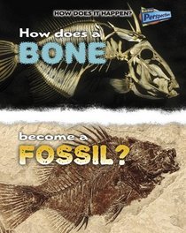 How Does A Bone Become A Fossil? (How Does It Happen)