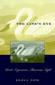 The Line's Eye : Poetic Experience, American Sight